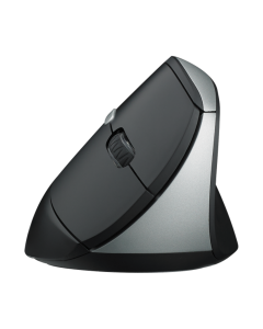 Rapoo EV250 Ergonomic Wireless Mouse