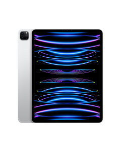 Apple iPad Pro 12.9inch 6th Gen Cellular 256GB Silver