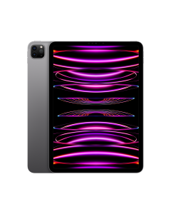 Apple iPad Pro 11inch 4th Gen WiFi 256GB Space Grey
