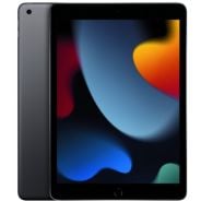 Apple iPad 10.2 9th Gen Wi-Fi + Cellular 256GB Space Grey
